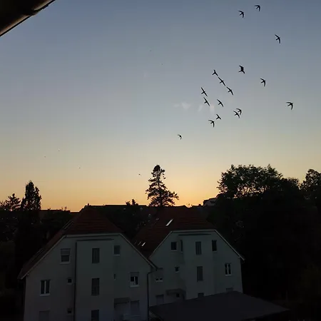 Vielstubenhaus - August *