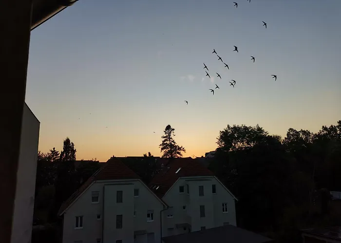 Vielstubenhaus - August *